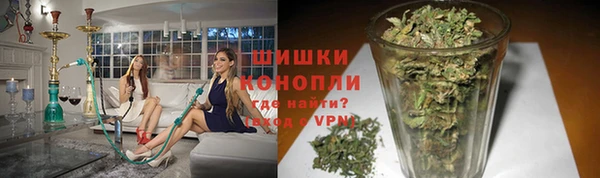 эйфоретик Бородино
