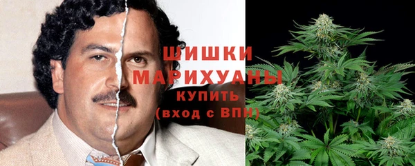 спайс Верея