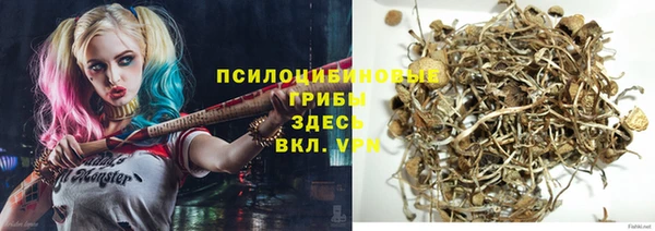 гашик Бугульма