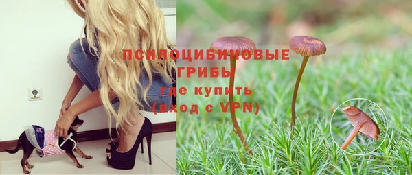эйфоретик Бородино