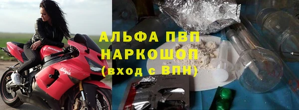 эйфоретик Бородино